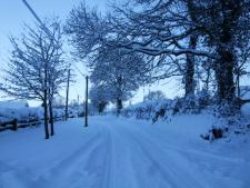 snow covered road 2010